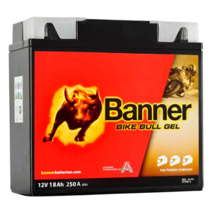 Banner Batterie Bike Bull GEL 52101