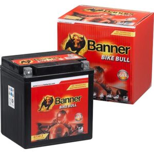 Banner Batterie Bike Bull GEL 53001