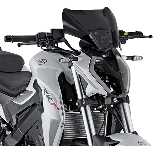 Givi Windschutzscheibe ohne Anbausatz 1173SG getönt 220x310mm - Motorradteile & Ersatzteile - Anbauteile