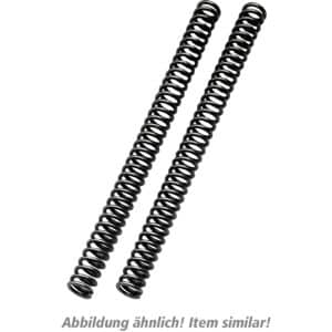 Öhlins Gabelfedern R&T 235/9