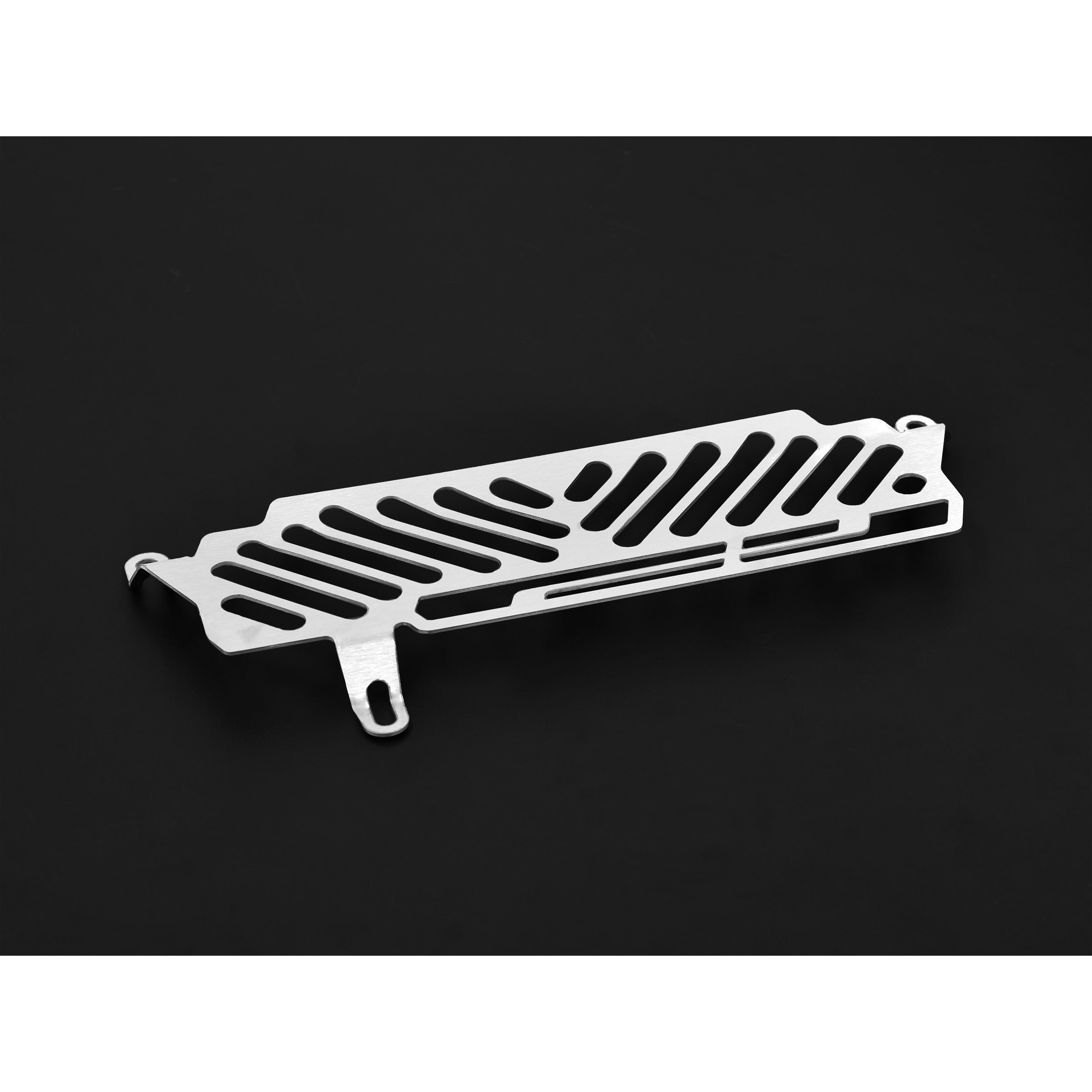 Zieger Öl-Kühlerabdeckung Clean silber für Speed Triple 1050 05-10 - Motorradteile & Ersatzteile - Verkleidungen & Abdeckungen